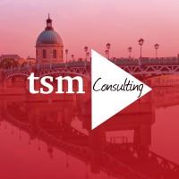 TSM Consulting