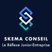 SKEMA Conseil