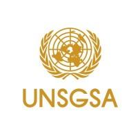United Nations Secretary-General's Special Advocate for Financial Health