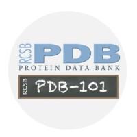 RCSB Protein Data Bank