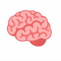 CPF🧠RMATION