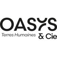 OasYs Consultants