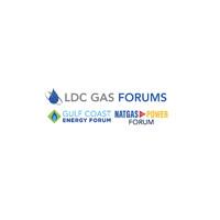 LDC Gas Forums, Gulf Coast Energy Forum & NatGas To Power Forum