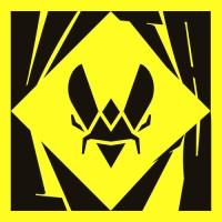 Team Vitality