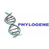 PHYLOGENE