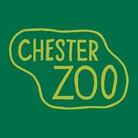 Chester Zoo