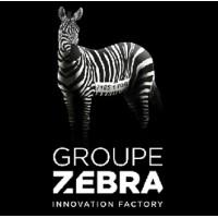 GROUPE ZEBRA