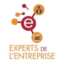 Les Experts de l'Entreprise